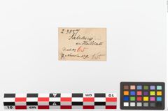 Etiketten zu Bronzekugelkopfnadel (NHMW-PRAE-023857)